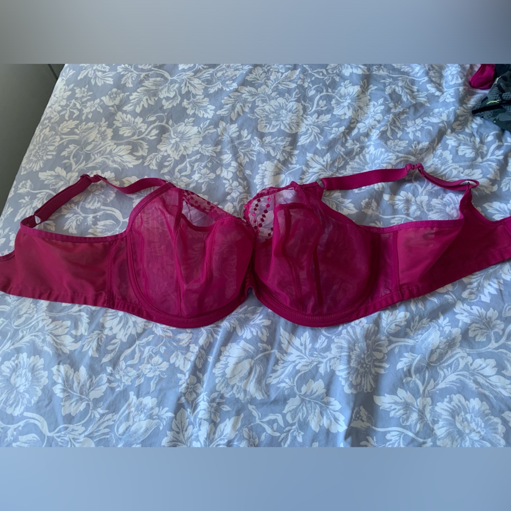 40E sheer Elomi bra.